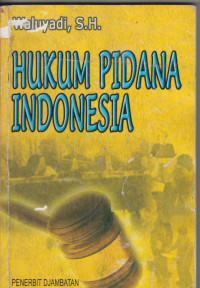 Image of Hukum pidana indonesia