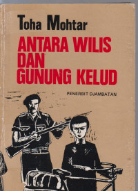 Image of antara wilis dan gunung kelud