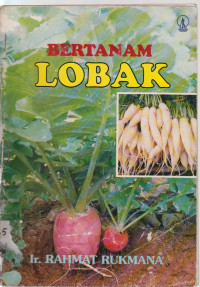 Image of bertanam lobak