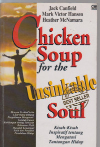 Image of chicken soup for the unsinkable soul