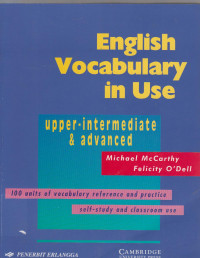 Image of english vocabulary in use