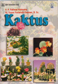 Image of kaktus