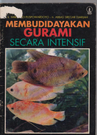 Image of membudidayakan gurami secara intensif