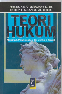 Image of teori hukum